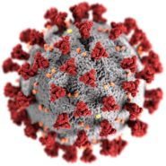 Verfahrensweise bei der Systemtherapie von Patienten mit Psoriasis während der pandemischen Phase von SARS-CoV-2 (Coronavirus)